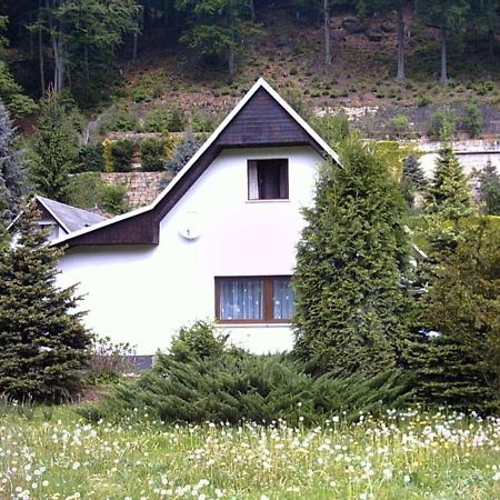 Ferienhaus Greti Stadt Wehlen Ngoại thất bức ảnh